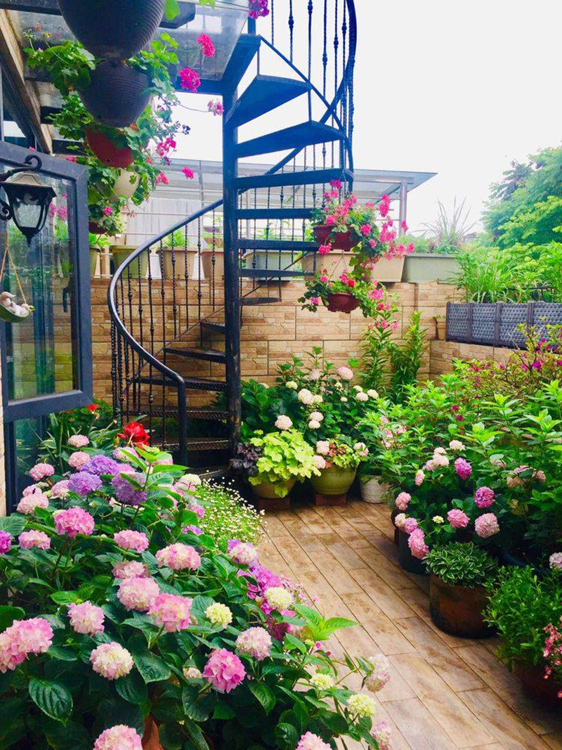 Khu vườn sân thượng độc đáo 2 tầng, tầng trên là hoa hồng rực rỡ, tầng dưới muôn hoa đua nở 4 mùa - Ảnh 12.