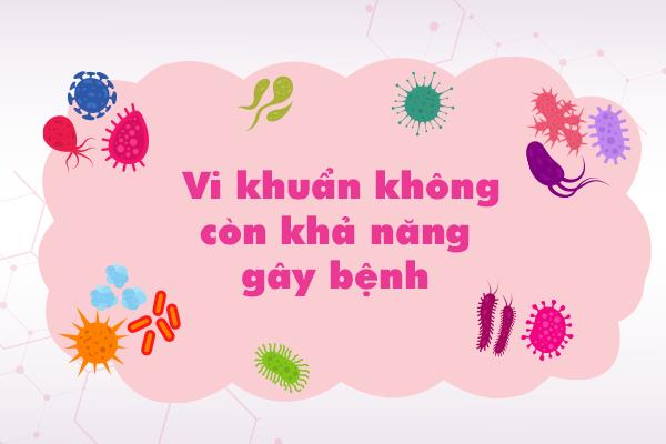 Cảnh báo nguy cơ mắc các bệnh hô hấp tăng cao khi trẻ đi học trở lại - Ảnh 3. Cảnh báo nguy cơ mắc các bệnh hô hấp tăng cao khi trẻ đi học trở lại - Ảnh 3.