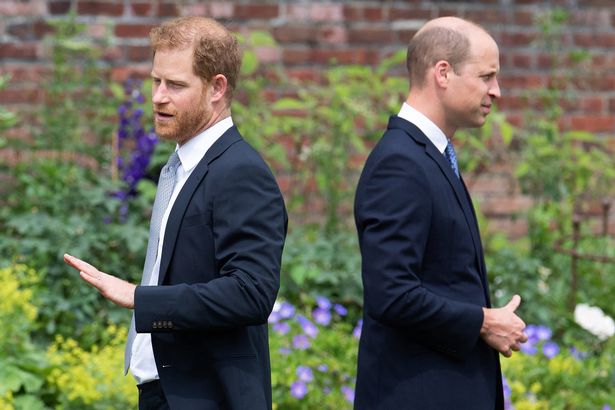 Prince William is deeply hurt by a statement from Harry and begs his brother: 