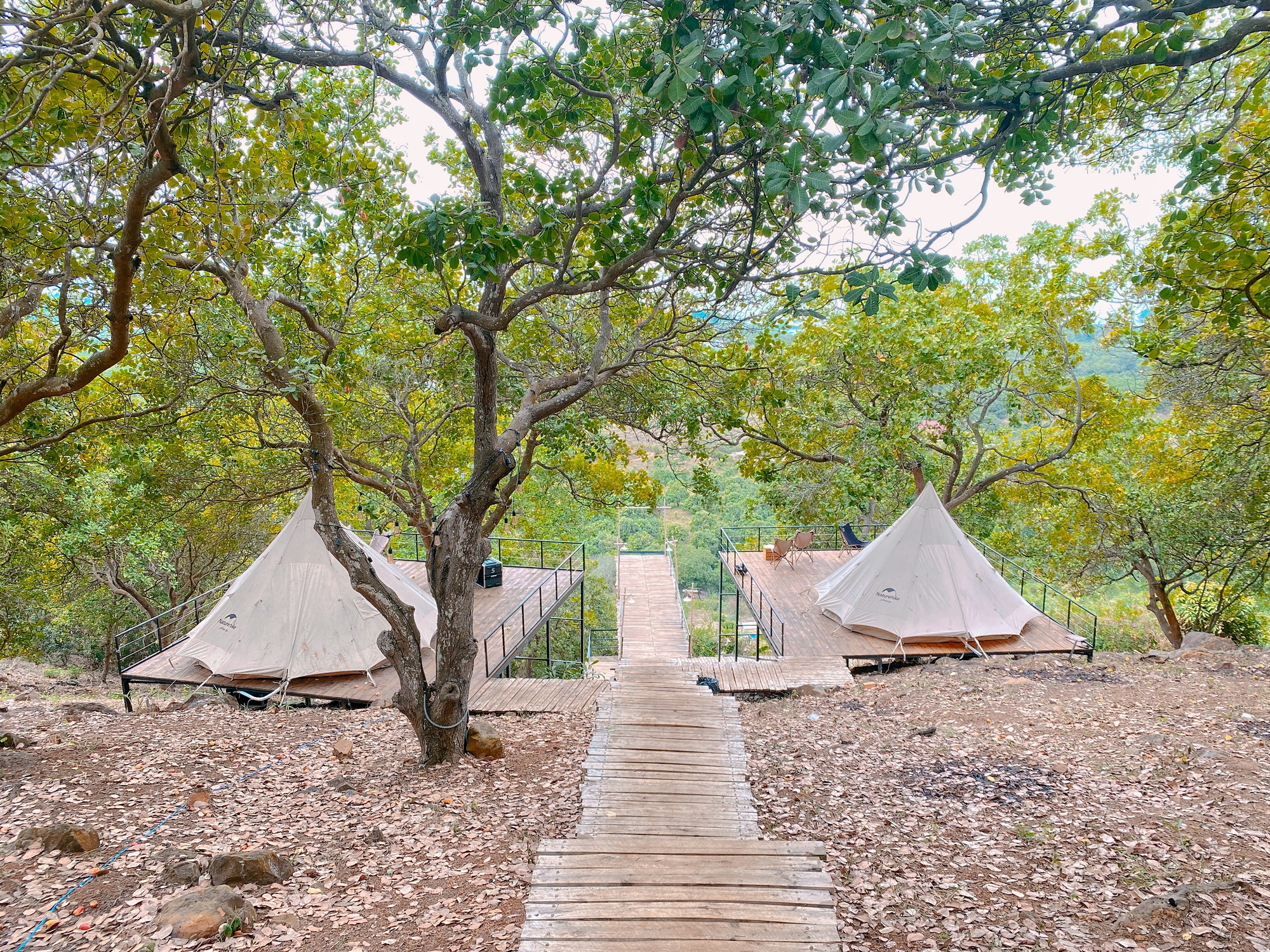 Kinh doanh Camping và những điều cần biết để sinh lời