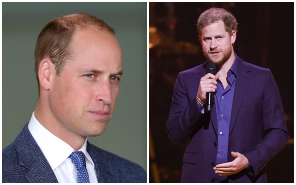 Prince William is deeply hurt by a statement from Harry and begs his brother: 