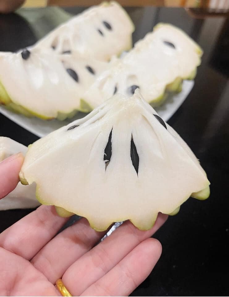 Quả na "siêu to khổng lồ" hơn bàn tay người lớn, nặng tới 1,5kg có giá gần 1 triệu - Ảnh 5. Quả na "siêu to khổng lồ" hơn bàn tay người lớn, nặng tới 1,5kg có giá gần 1 triệu - Ảnh 5.