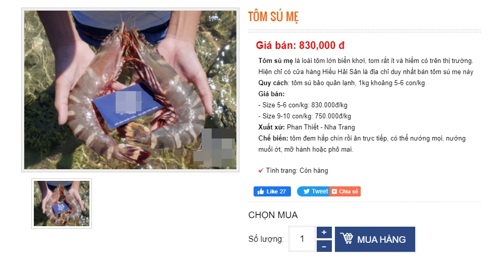 Loại tôm giá 950k/kg, đắt hơn cả tôm hùm được đại gia &quot;săn lùng&quot; về thưởng thức - Ảnh 5.