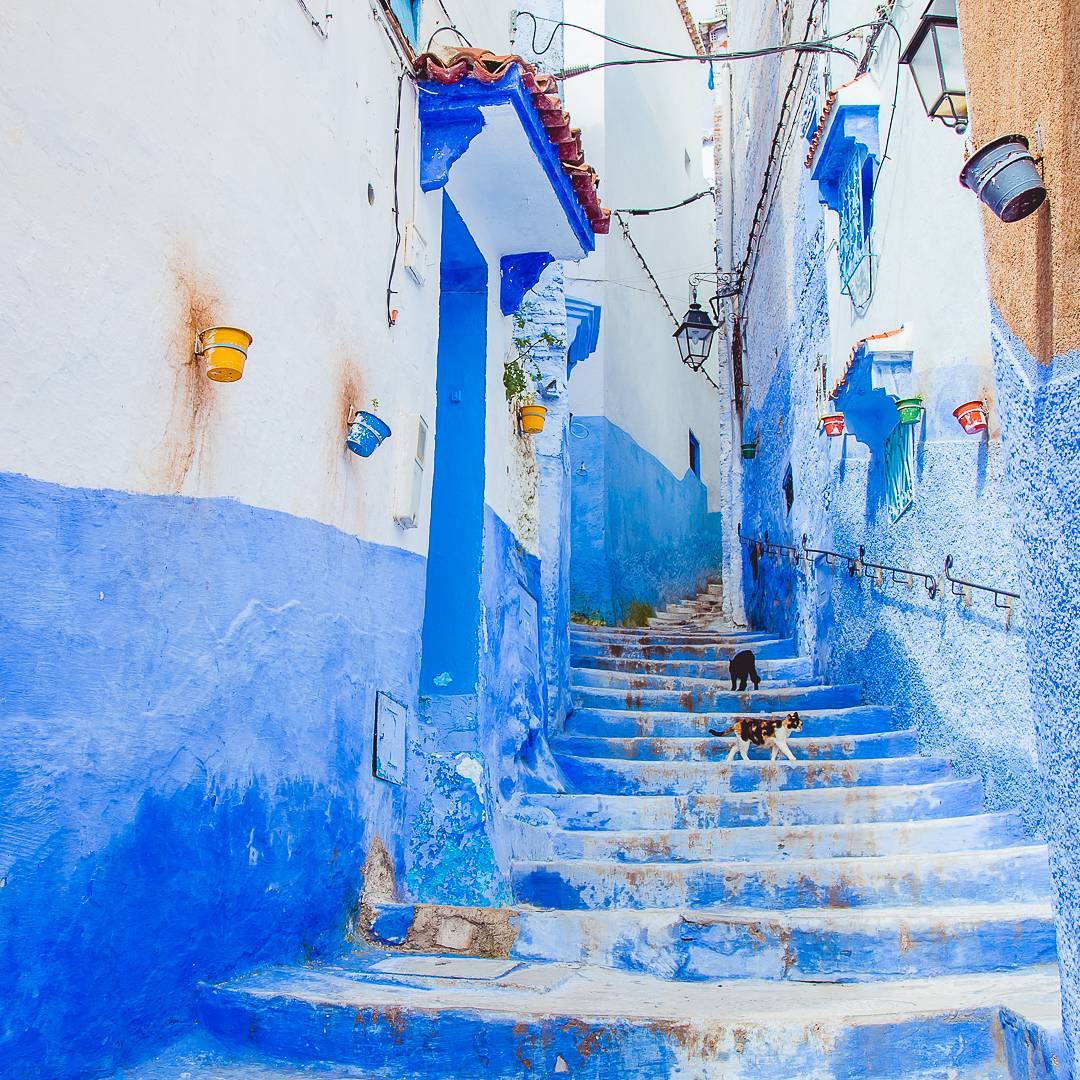 The overwhelming experience of a nomadic girl in a magical blue city thought only in fairy tales, - Photo 4. The overwhelming experience of a nomadic girl in a magical blue city thought only in fairy tales, - Photo 4.