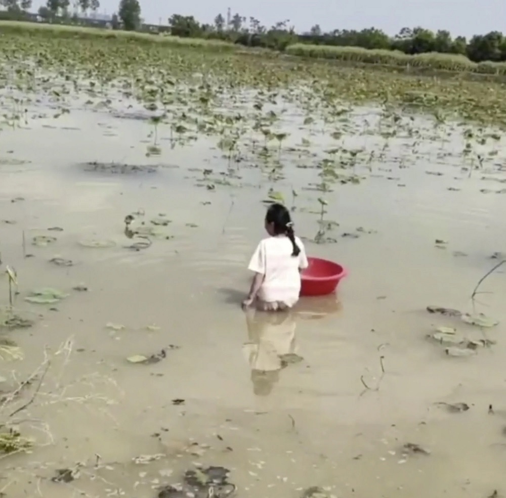 Cách phạt con không thích đi học của ông bố Trung Quốc khiến dân mạng chia phe tranh cãi - Ảnh 1.