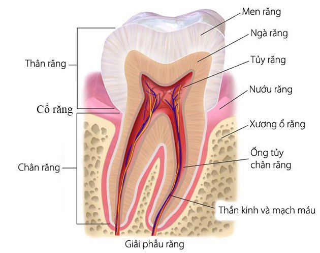  - Ảnh 3.