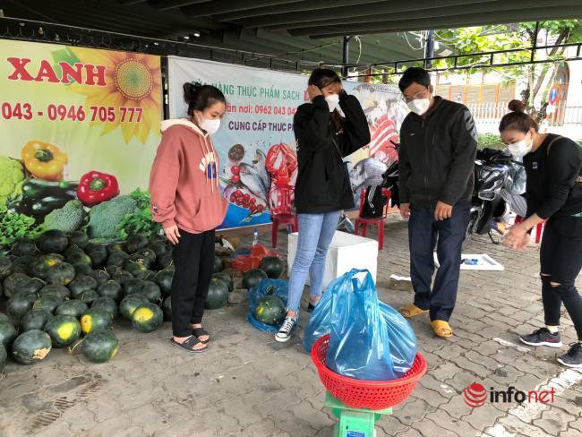 Người dân đội mưa đi “giải cứu” dưa hấu Quảng Nam bị mưa ngập, nhiều điểm tặng dưa miễn phí, hàng chục tấn hết veo - Ảnh 10.