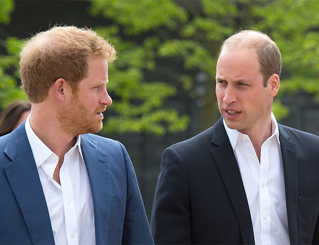 Expert: Prince William commented on his brother's behavior in one word, Harry was 