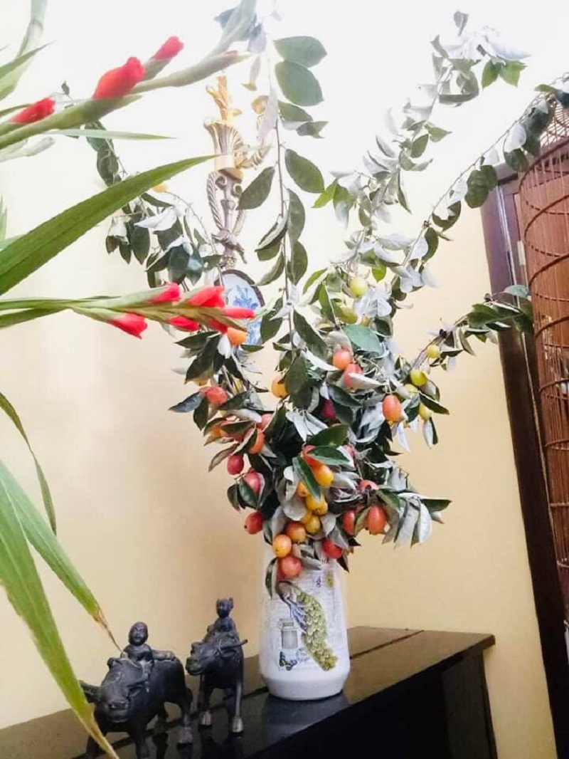 The unique fruit tree, both to decorate the house while waiting for the fruit to ripen, makes many Ha Thanh sisters love it - Photo 3.