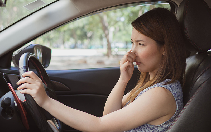 Tips for handling odors and mold in cars - Photo 1.