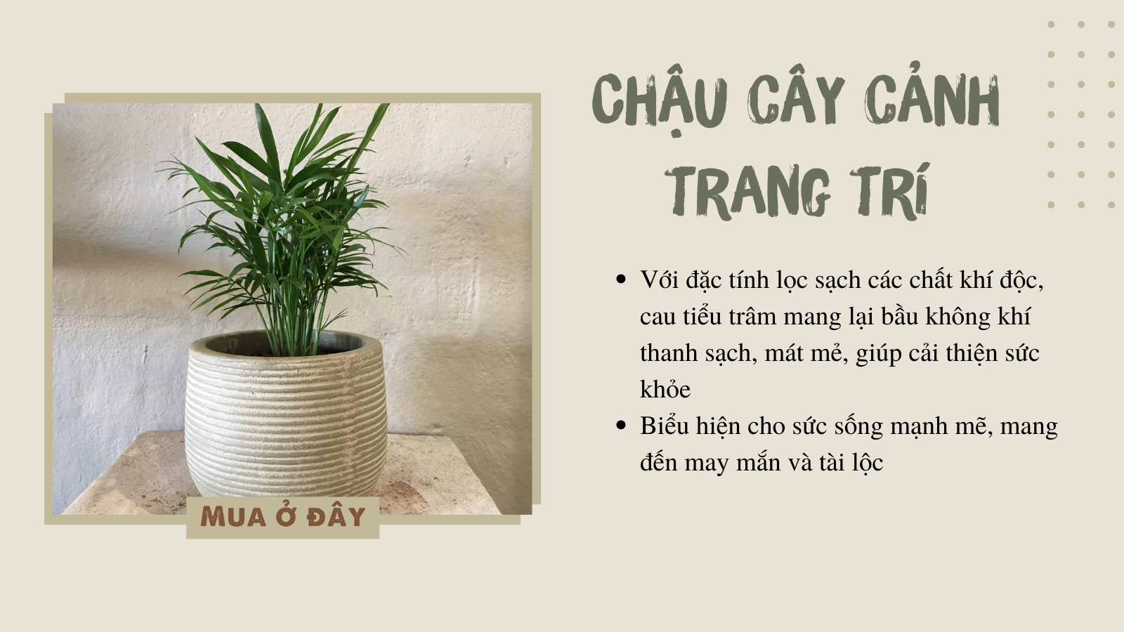 6 món đồ mách bạn mua về thiết kế cho phòng tắm theo phong cách hiện đại, dễ dàng chỉ trong phút mốt  - Ảnh 4.