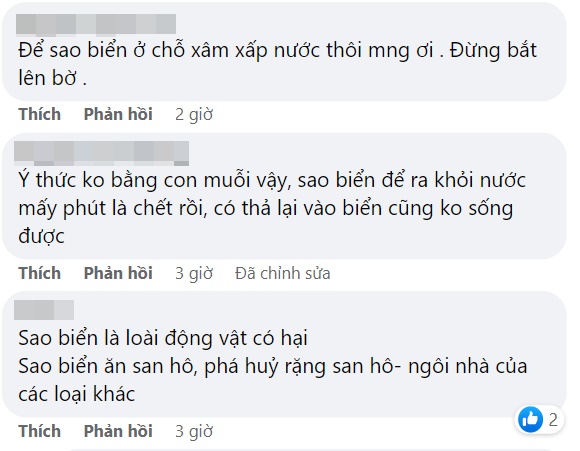Xôn xao hình ảnh đôi nam nữ thản nhiên bắt sao biển lên bờ phơi nắng, lý do để chụp hình quảng cáo mỹ phẩm? - Ảnh 4. Xôn xao hình ảnh đôi nam nữ thản nhiên bắt sao biển lên bờ phơi nắng, lý do để chụp hình quảng cáo mỹ phẩm? - Ảnh 4.