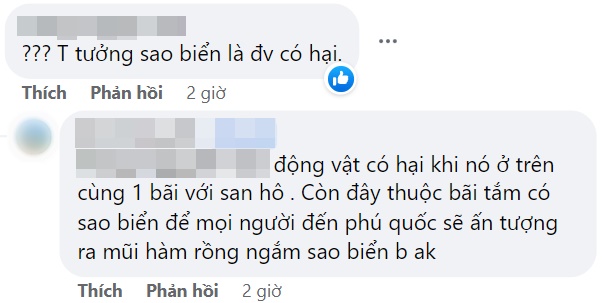 Xôn xao hình ảnh đôi nam nữ thản nhiên bắt sao biển lên bờ phơi nắng, lý do để chụp hình quảng cáo mỹ phẩm? - Ảnh 6. Xôn xao hình ảnh đôi nam nữ thản nhiên bắt sao biển lên bờ phơi nắng, lý do để chụp hình quảng cáo mỹ phẩm? - Ảnh 6.