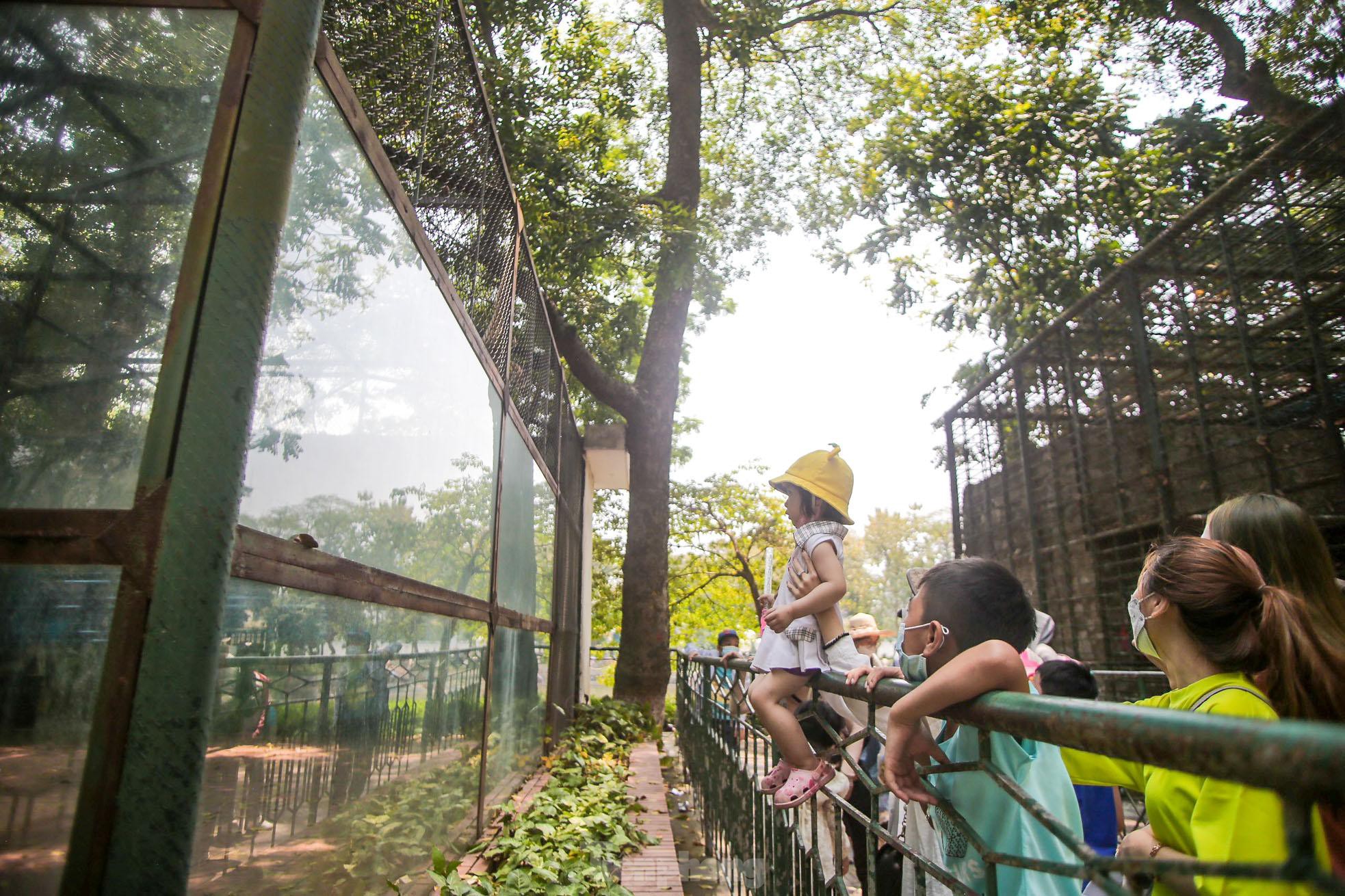 Ngàn người đổ về vườn thú Hà Nội trong ngày đầu nghỉ lễ - Ảnh 12.