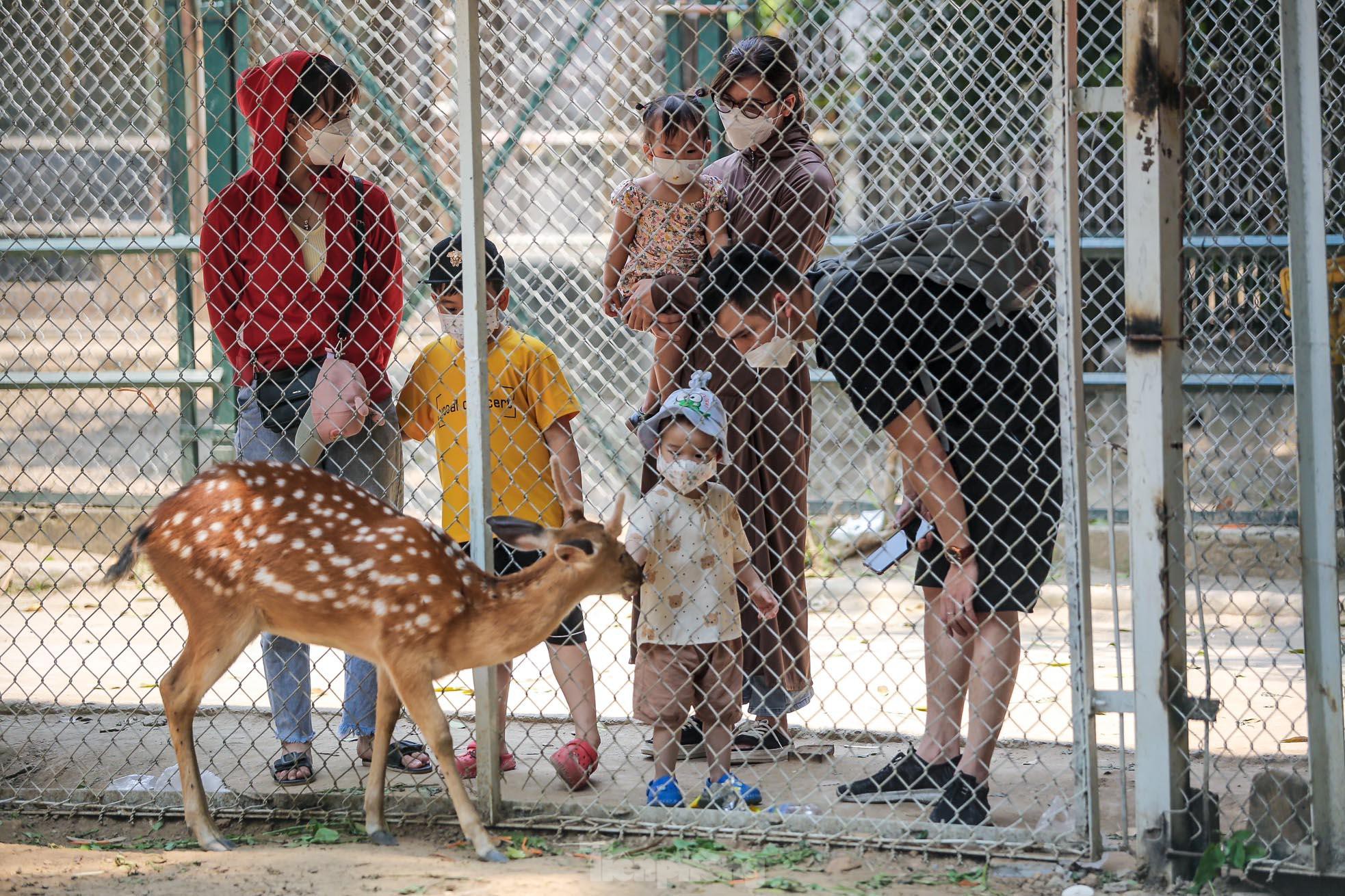 Ngàn người đổ về vườn thú Hà Nội trong ngày đầu nghỉ lễ - Ảnh 11.
