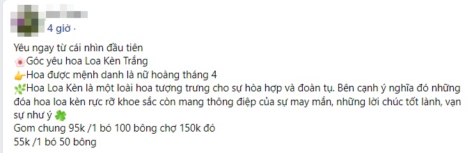 Hoa loa kèn vào mùa, nhiều địa chỉ online rao bán chỉ từ 49k cho bó 50 bông to  - Ảnh 4.