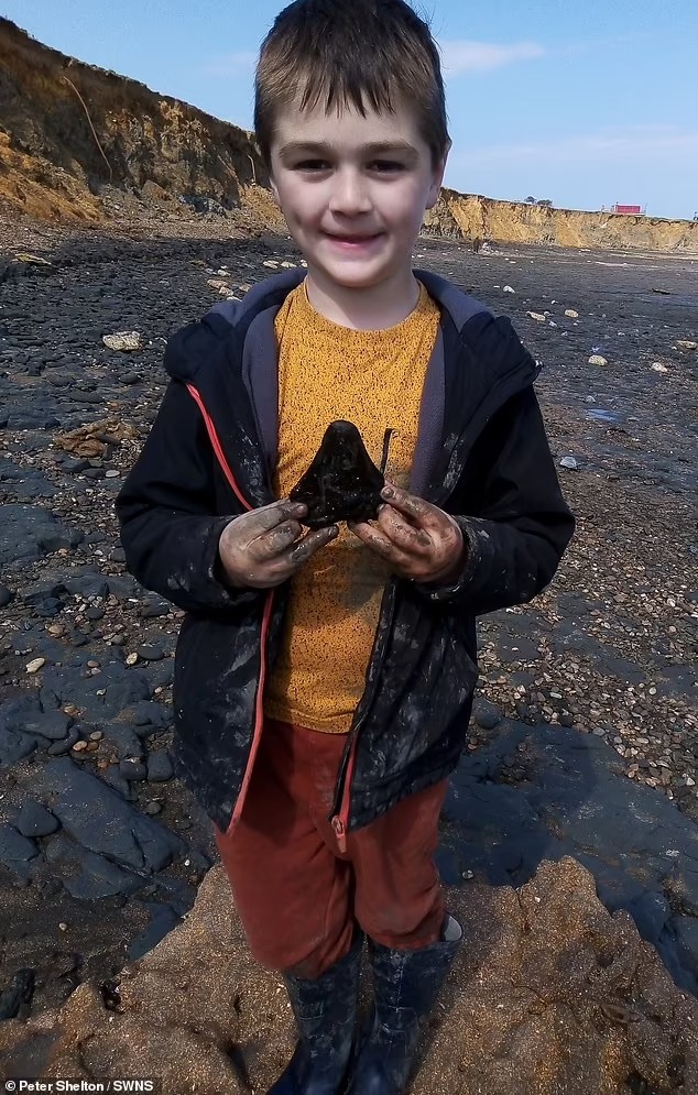 Cậu bé 6 tuổi đi dạo bãi biển vấp phải vật thể đen sì, nào ngờ đó là báu vật quý giá bảo tàng phải &quot;xin gấp&quot; - Ảnh 1.