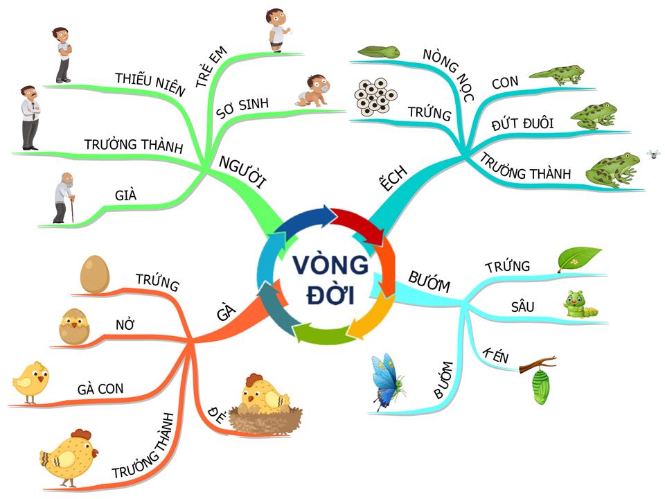 3 b&iacute; quyết &ldquo;v&agrave;ng&rdquo; gi&uacute;p con chinh phục m&ugrave;a thi - Ảnh 1.