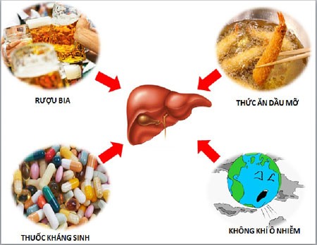 Điểm mặt thói quen hại gan và cách bảo vệ gan - Ảnh 1.