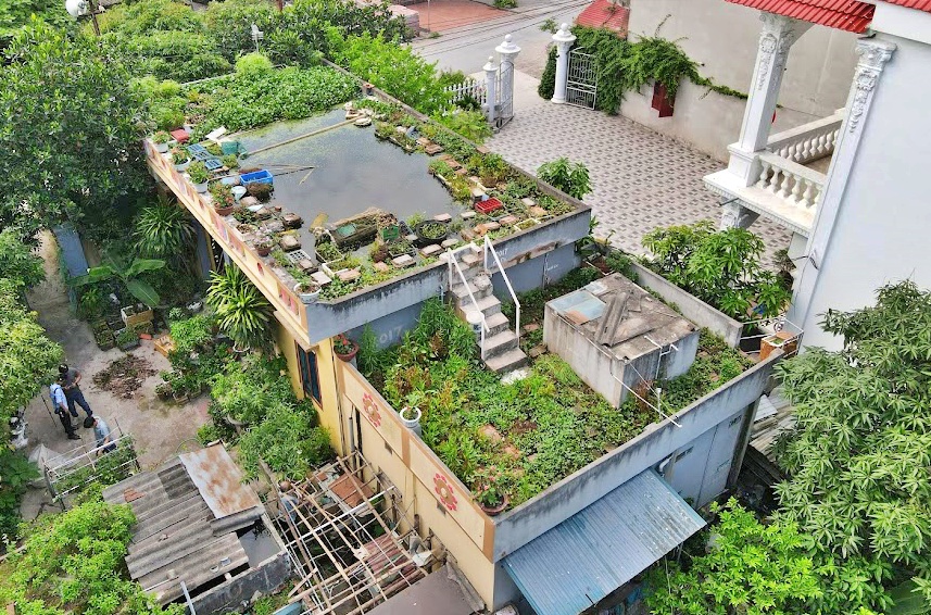 Cụ ông 87 tuổi chịu chơi mang cả cái ao đặt trên mái nhà rồi trồng rau nuôi cá: Nhiều người nói tôi liều lĩnh - Ảnh 1. Cụ ông 87 tuổi chịu chơi mang cả cái ao đặt trên mái nhà rồi trồng rau nuôi cá: Nhiều người nói tôi liều lĩnh - Ảnh 1.