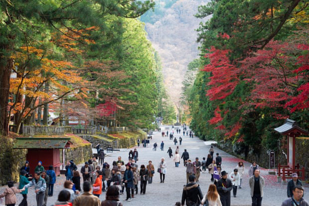 Japan announced limited pilot tourism from May, preparing to fully reopen - Photo 1.