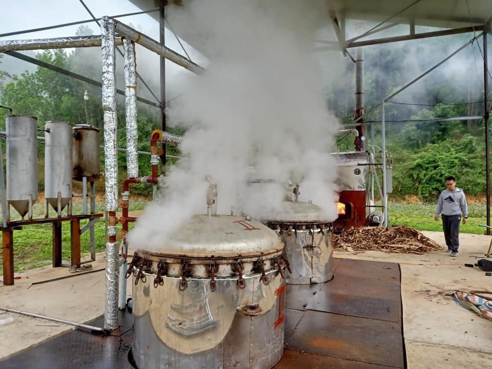 Từ lá cây, chàng trai sinh năm 1997 mượn bạn bè 300 triệu làm liều, giờ là chủ một doanh nghiệp tinh dầu lợi nhuận bạc tỷ   - Ảnh 4.