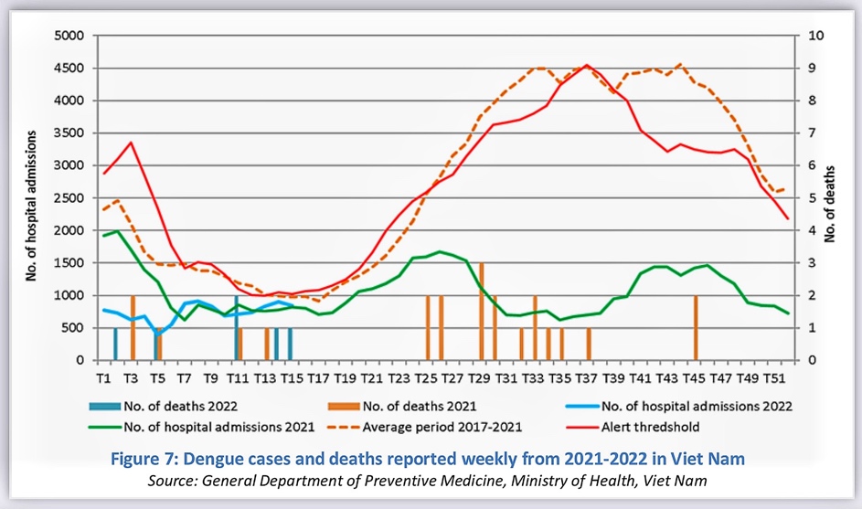 Năm 2022 sốt xuất huyết có thể trở thành đại dịch, đỉnh dịch vào tháng 6-7 - Ảnh 1.