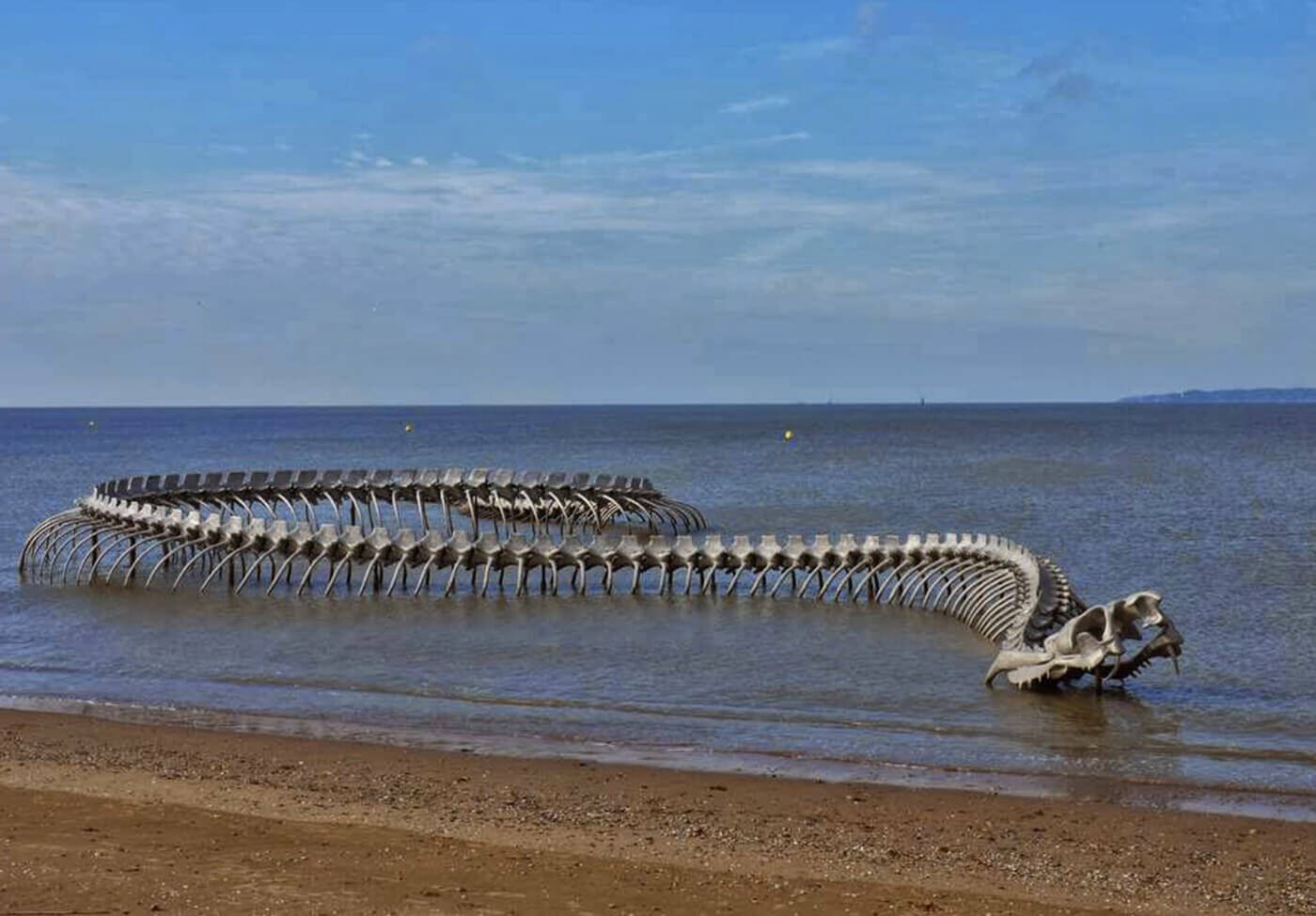 Hình ảnh bộ xương quái vật khổng lồ trồi lên giữa mặt biển và ý ...