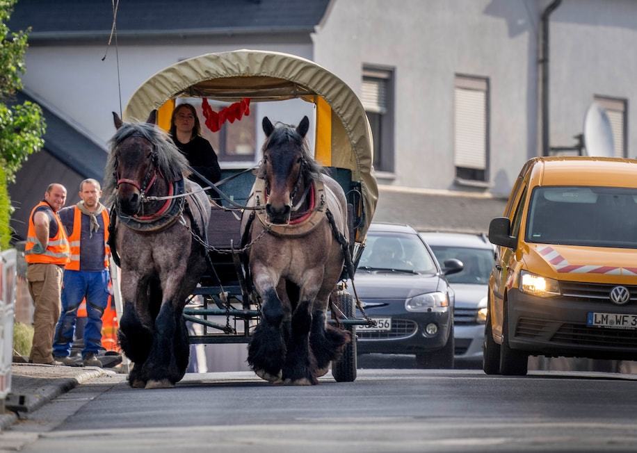 German woman switched to horse-drawn carriage because of high gas prices - Photo 1.