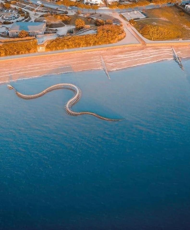 Hình ảnh bộ xương quái vật khổng lồ trồi lên giữa mặt biển gây khiếp đảm, vẫn thu hút nườm nượp du khách đến check-in - Ảnh 7. Hình ảnh bộ xương quái vật khổng lồ trồi lên giữa mặt biển gây khiếp đảm, vẫn thu hút nườm nượp du khách đến check-in - Ảnh 7.