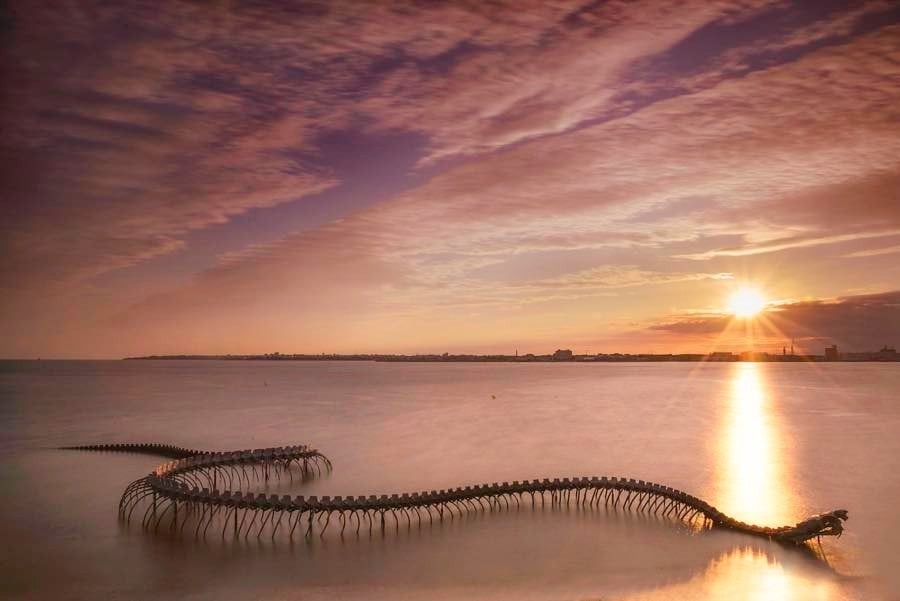 Hình ảnh bộ xương quái vật khổng lồ trồi lên giữa mặt biển gây khiếp đảm, vẫn thu hút nườm nượp du khách đến check-in - Ảnh 8. Hình ảnh bộ xương quái vật khổng lồ trồi lên giữa mặt biển gây khiếp đảm, vẫn thu hút nườm nượp du khách đến check-in - Ảnh 8.