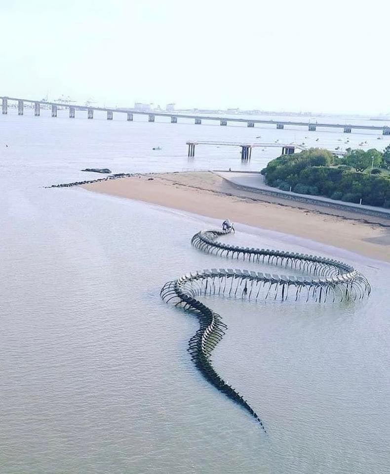 Hình ảnh bộ xương quái vật khổng lồ trồi lên giữa mặt biển gây khiếp đảm, vẫn thu hút nườm nượp du khách đến check-in - Ảnh 9. Hình ảnh bộ xương quái vật khổng lồ trồi lên giữa mặt biển gây khiếp đảm, vẫn thu hút nườm nượp du khách đến check-in - Ảnh 9.