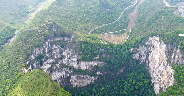 Phát hiện rừng cổ thụ dưới hố sụt ở Trung Quốc - Ảnh 1.