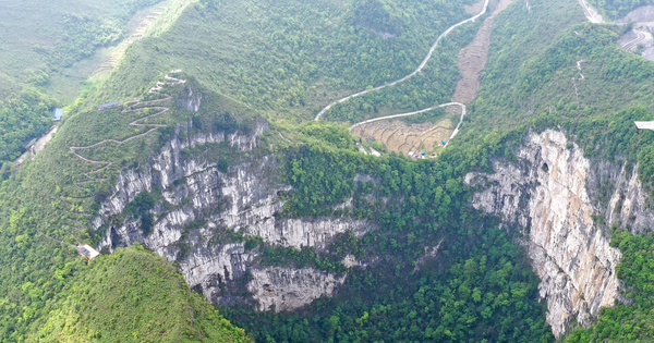 Ancient forest discovered under sinkhole in China - Photo 1.