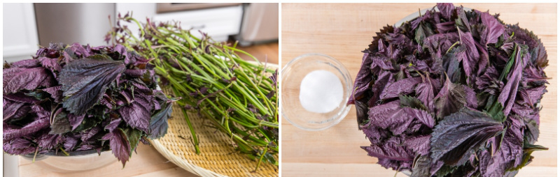 Dắt t&uacute;i b&iacute; quyết l&agrave;m mơ muối Umeboshi để giải nhiệt, tăng sức đề kh&aacute;ng cho cơ thể l&uacute;c chuyển m&ugrave;a - Ảnh 11.