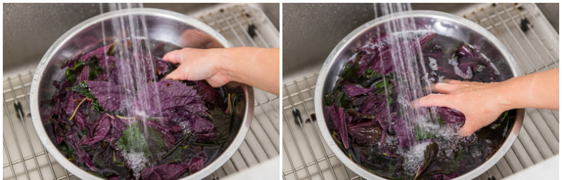 Dắt t&uacute;i b&iacute; quyết l&agrave;m mơ muối Umeboshi để giải nhiệt, tăng sức đề kh&aacute;ng cho cơ thể l&uacute;c chuyển m&ugrave;a - Ảnh 12.