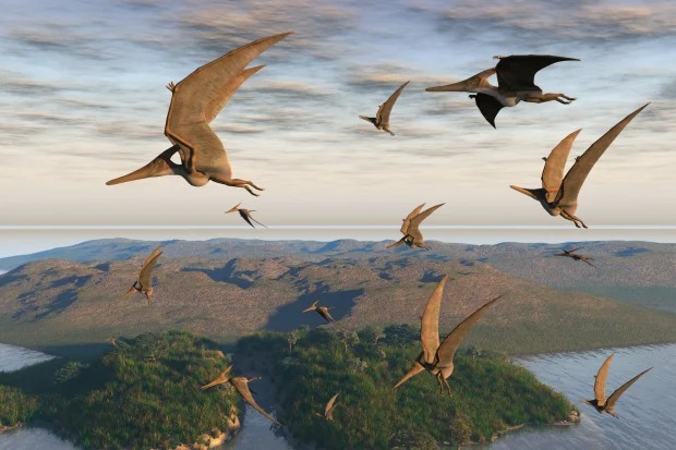 Khai quật xương hóa thạch khổng lồ, các nhà khoa học ngỡ ngàng về loài vật biết bay sống cách đây 86 triệu năm - Ảnh 3.