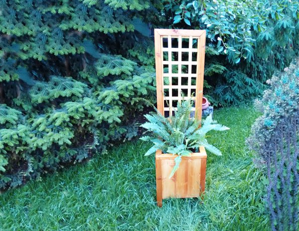 kiểu hàng rào cực xinh bạn có thể tự làm để trang trí cho khu vườn  - Ảnh 4.