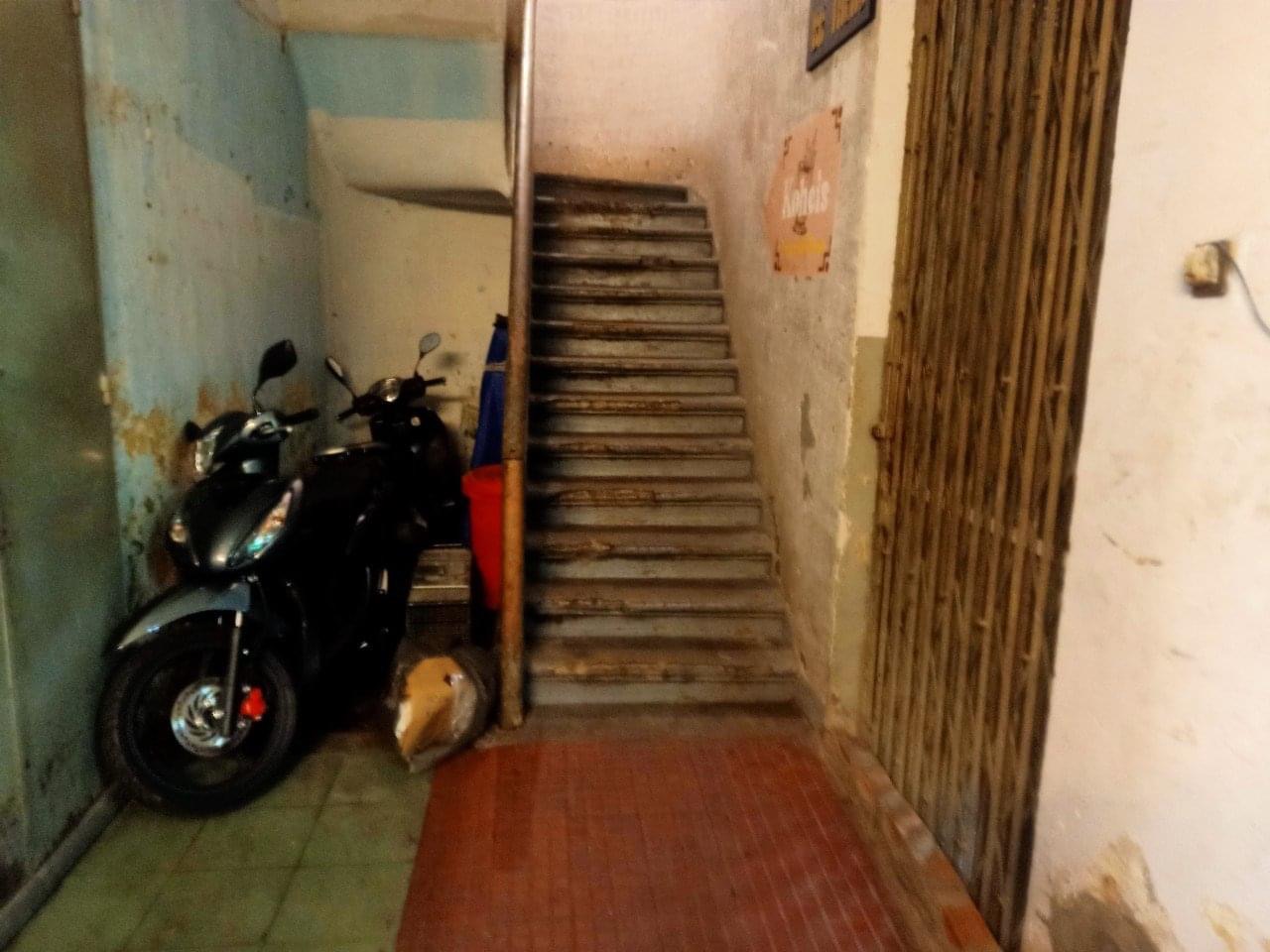 Hơn 20 con m&egrave;o hoang bị đ&aacute;nh bả chết la liệt ở TP.HCM, người d&acirc;n bức x&uacute;c, chủ nh&agrave; h&agrave;ng n&oacute;i g&igrave;?  - Ảnh 2.