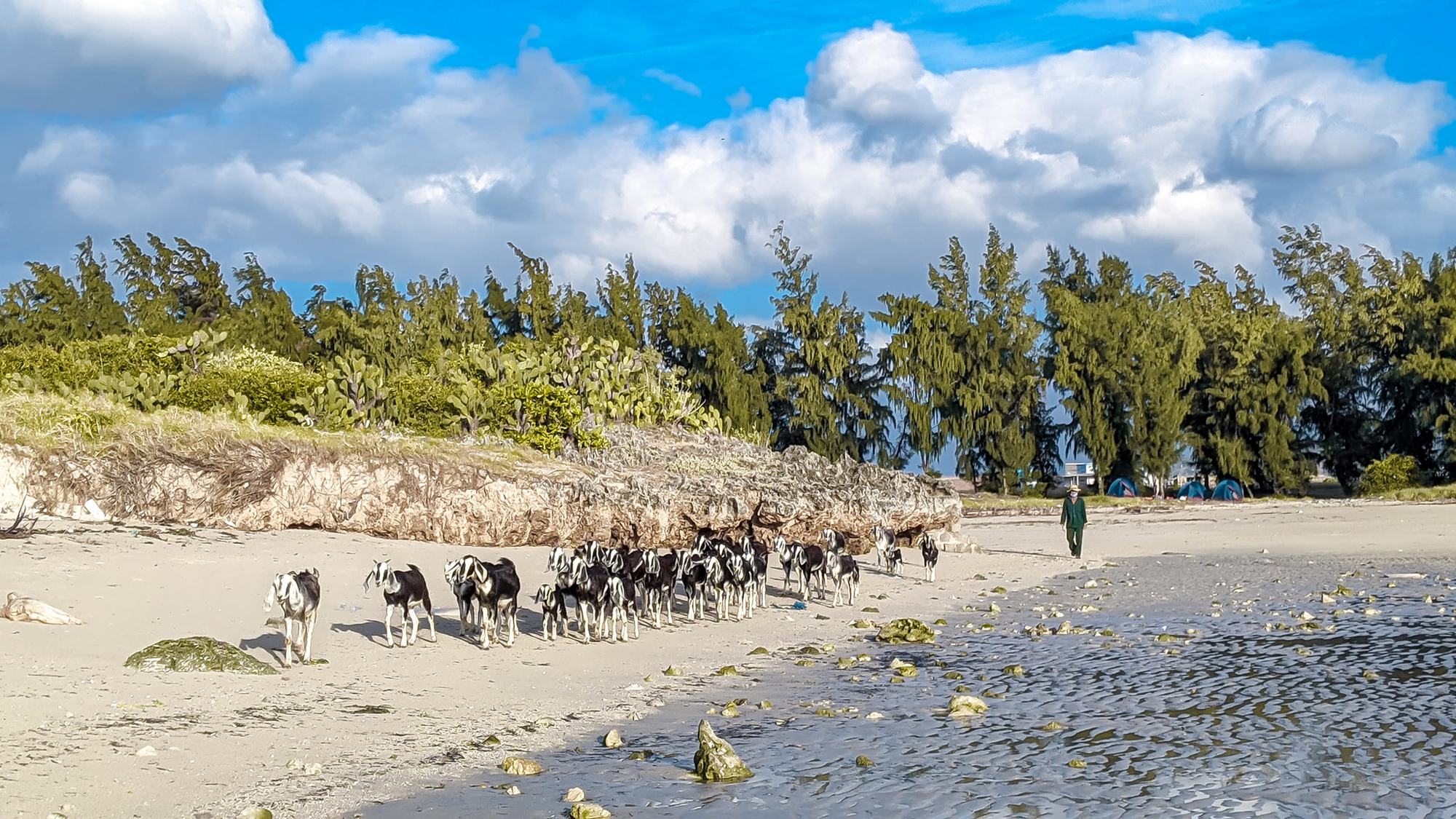 Du lịch Ninh Thuận: Mùa hè này, hãy đến thăm thú một vùng quê nhỏ còn hoang sơ nhưng ngàn cảnh đẹp từ biển xanh, núi rừng, đồi cát trắng đến đồng cỏ đầy bình yên - Ảnh 7.