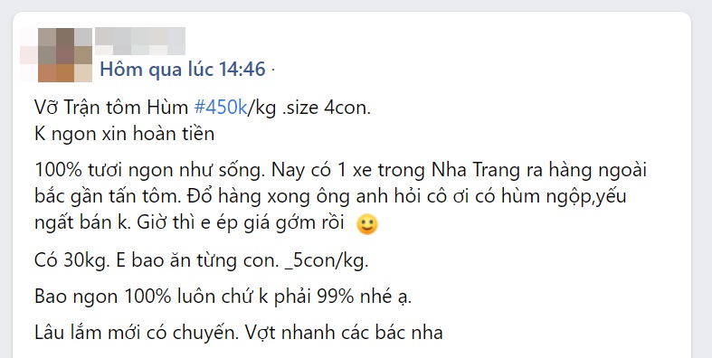 Tầm này bà nội trợ xách làn online mua tôm hùm là chuẩn nhất, chỉ từ 371k là mua được 1 kg - Ảnh 1.