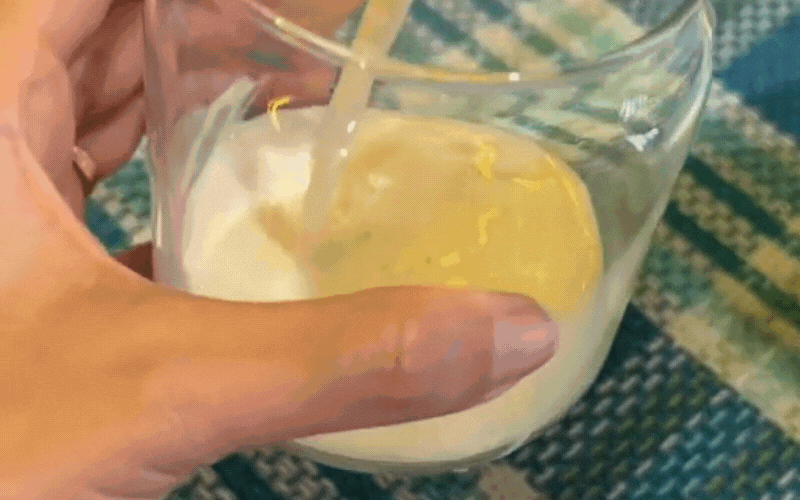 Nấm sữa Kefir: Tác dụng bất ngờ cho sức khỏe và cách nuôi nấm sữa đơn giản tại nhà - Ảnh 4.