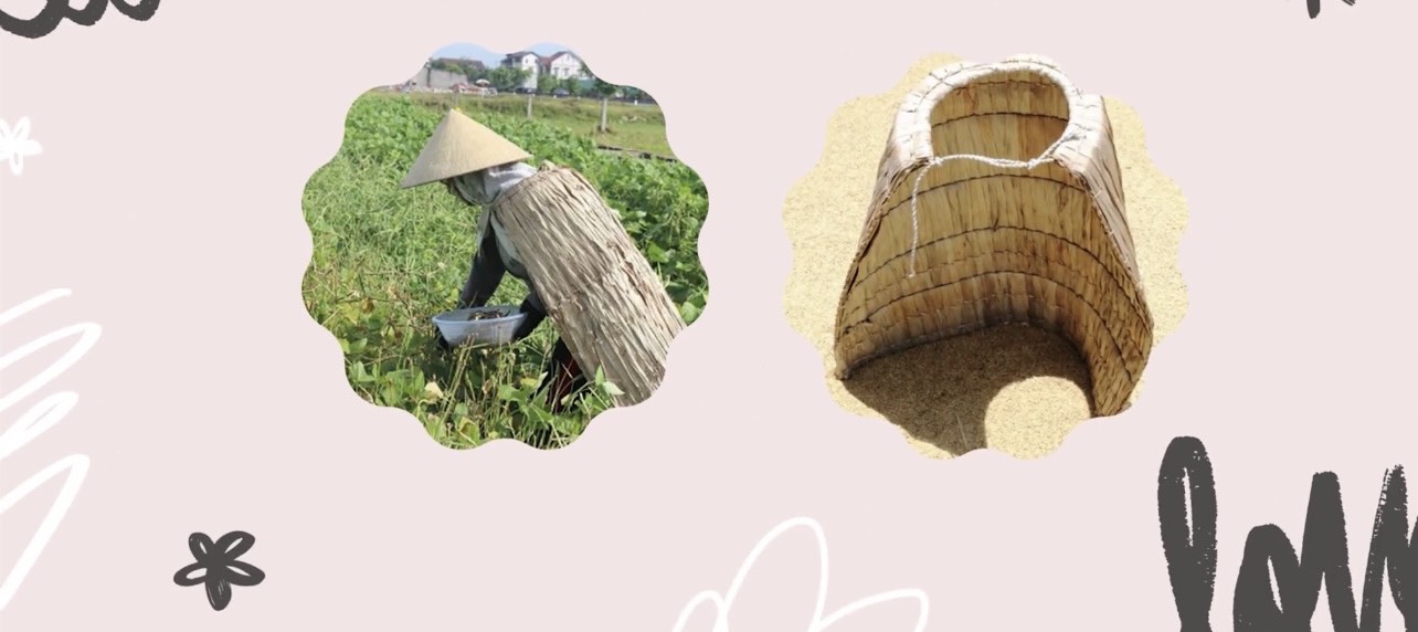 Câu đố Tiếng Việt: "Vì sao người ta nói nghèo rớt mồng tơi?" – Ai nghĩ đây là loại rau thì sai bét! - Ảnh 1. Câu đố Tiếng Việt: "Vì sao người ta nói nghèo rớt mồng tơi?" – Ai nghĩ đây là loại rau thì sai bét! - Ảnh 1.