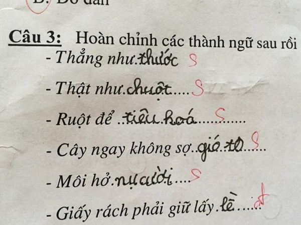 Học sinh cấp 1 làm bài tập tiếng Việt, mới câu đầu tiên mà phụ huynh đã &quot;cười ngất tới 3 ngày&quot; - Ảnh 3.