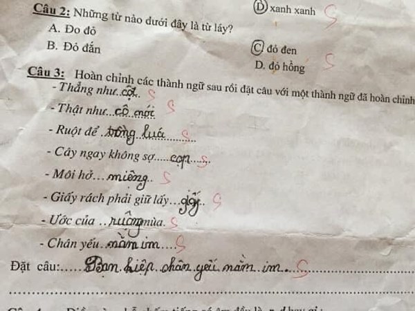 Học sinh tiểu học làm bài tập Tiếng Việt, câu đầu tiên mà bố mẹ 