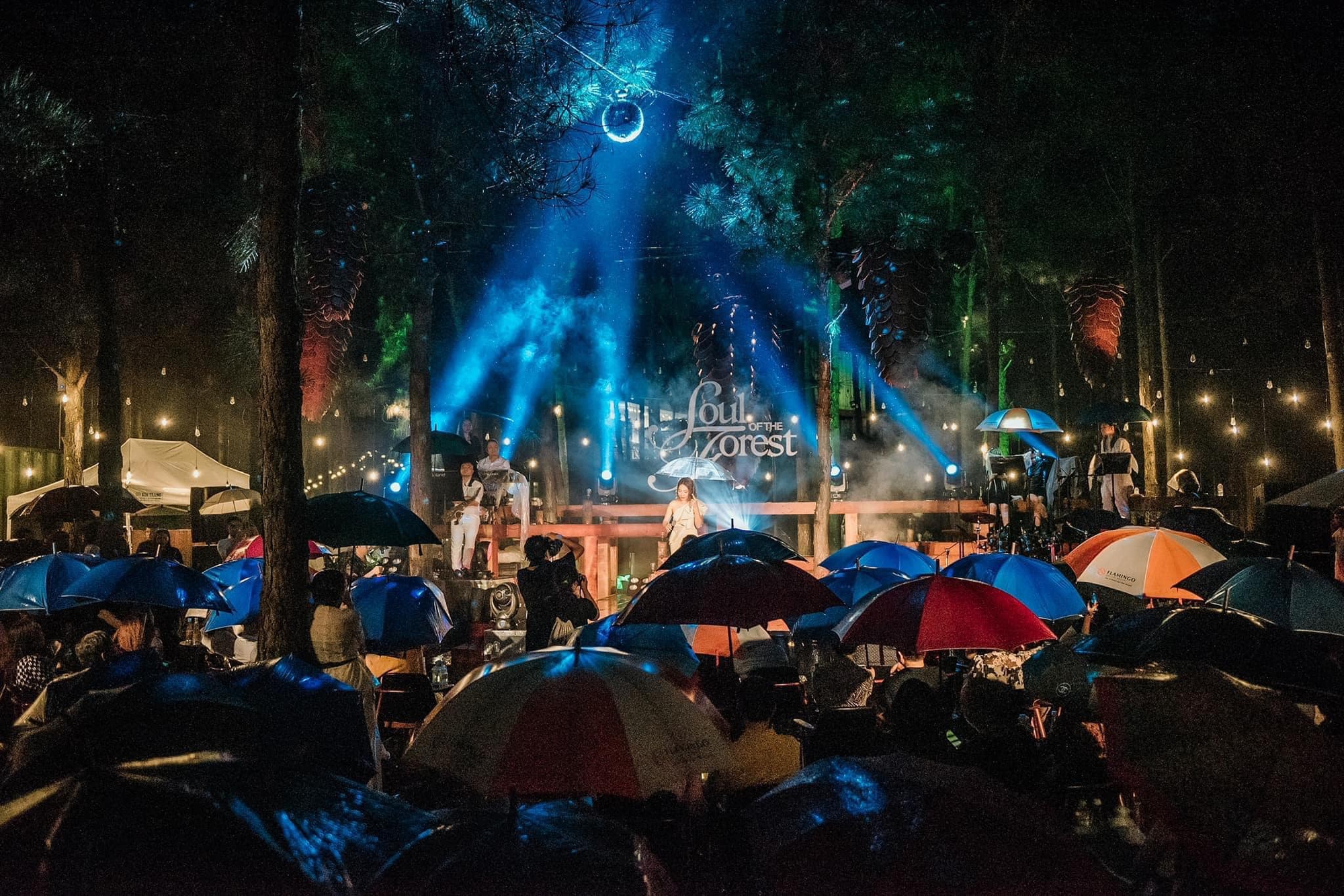 Đi nghe nhạc trong rừng: Trải nghiệm mới lạ và cảm xúc cho người Hà Nội vào dịp cuối tuần - Ảnh 8.