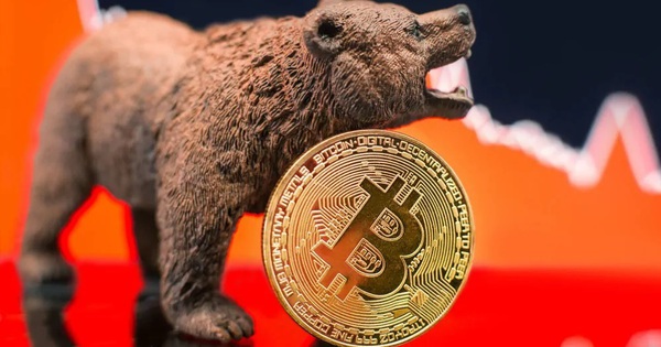 Bitcoin giảm 15%, thủng mốc 24.000 USD khi các nhà đầu tư đua nhau bán tháo - Ảnh 1.