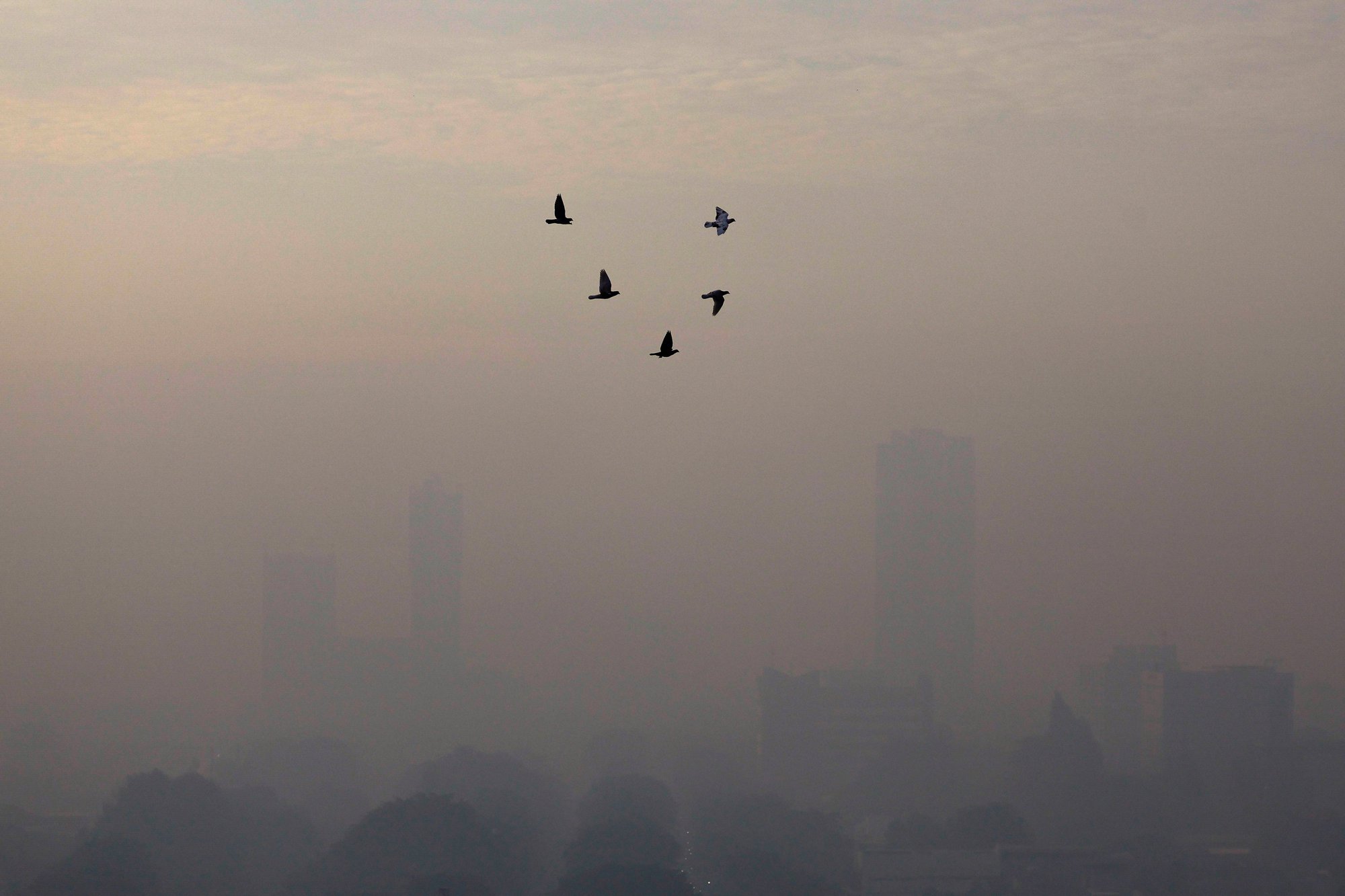 Ô nhiễm không khí rút ngắn tuổi thọ dân số thế giới - Ảnh 1.