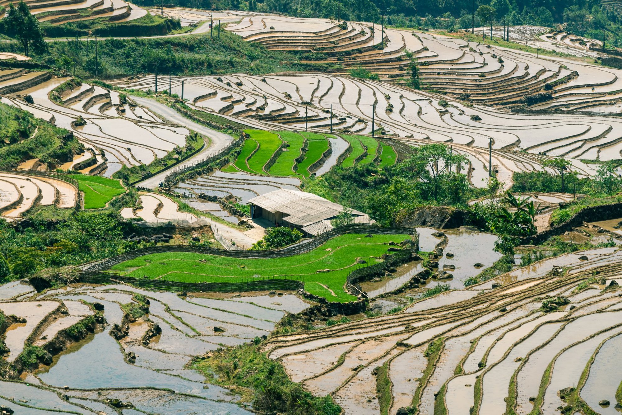 Muốn đổi gió mùa hè thì lên những đại điểm sau ở Tây Bắc để ngắm mùa nước đổ mơ màng, thơ mộng - Ảnh 5.