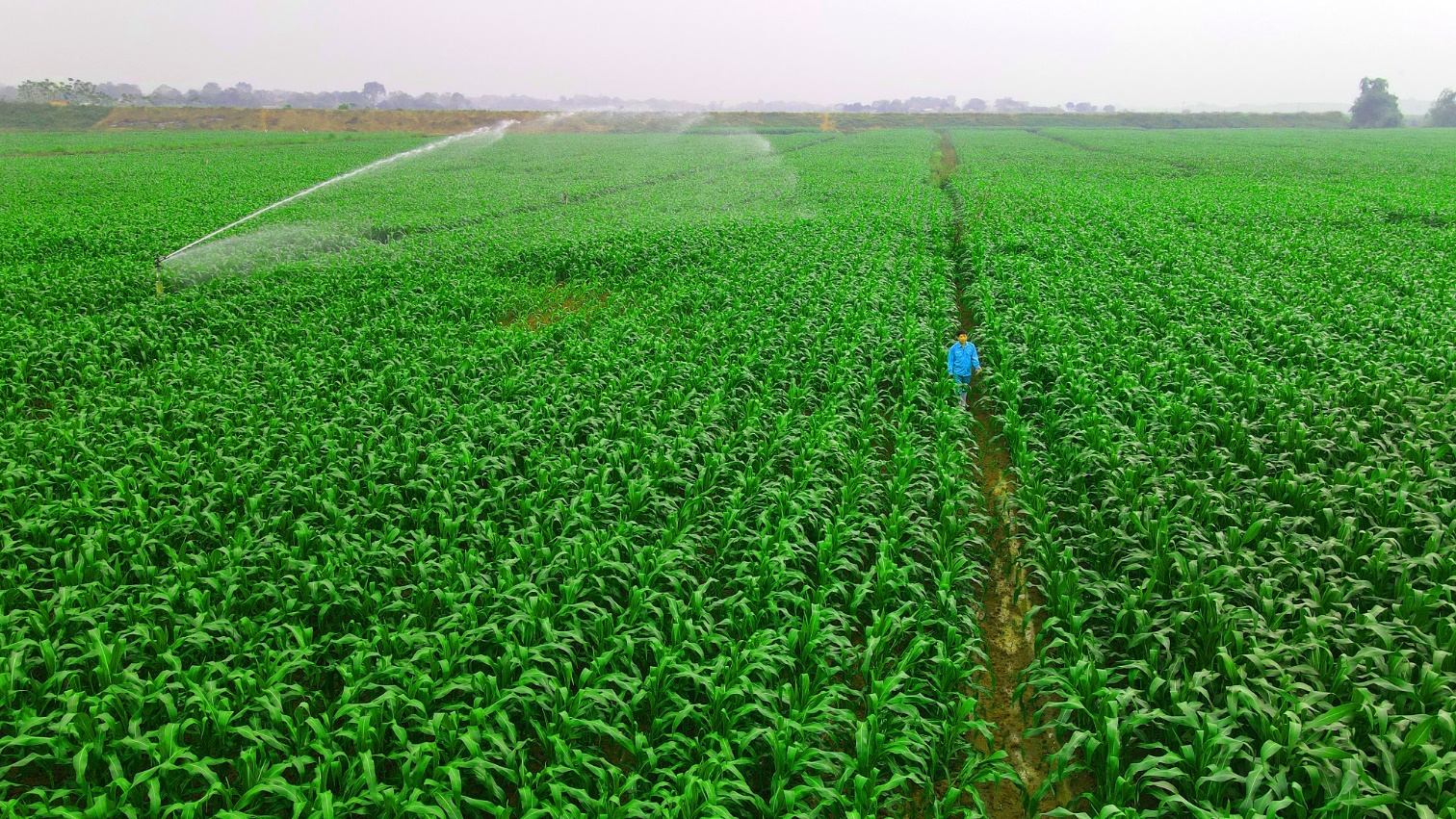 Vinamilk Green Farm – Dấu ấn rõ nét của ngành sữa Việt Nam trên hành trình phát triển bền vững - Ảnh 4.